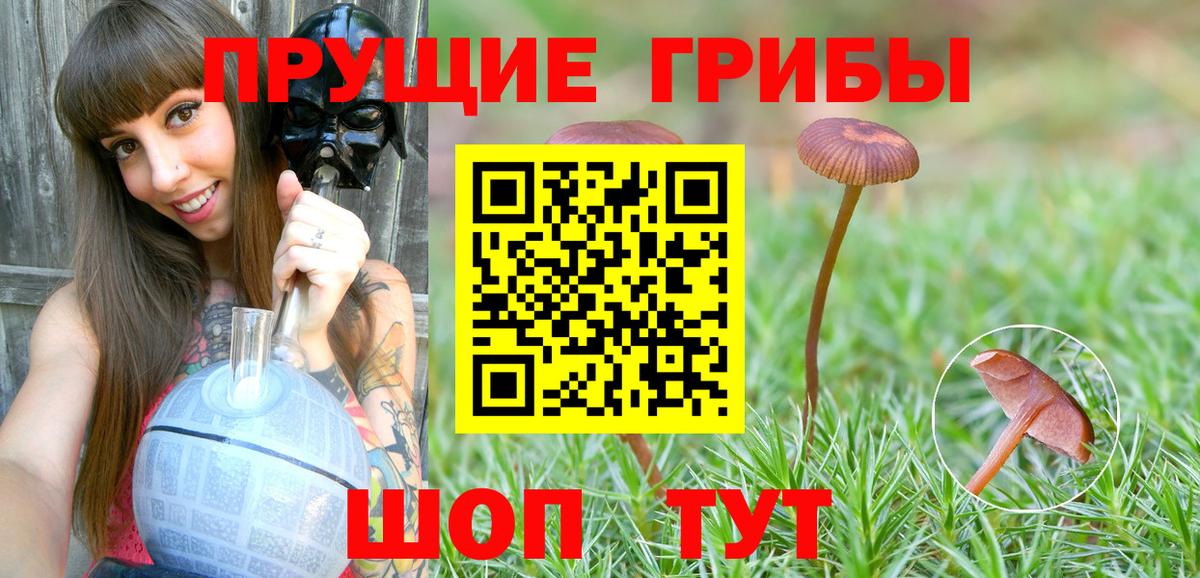 Псилоцибиновые грибы GOLDEN TEACHER Верхняя Салда